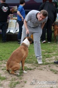 img_9275_medium.jpg