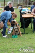 img_9276_medium.jpg