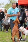 img_9280_medium.jpg