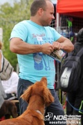 img_9281_medium.jpg