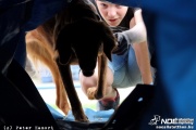 img_9284_medium.jpg