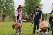 img_9292_medium.jpg
