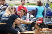 img_9301_medium.jpg