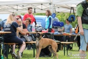 img_9302_medium.jpg