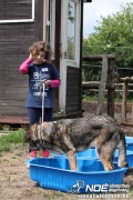 img_9312_medium.jpg