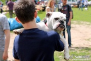 img_9318_medium.jpg