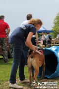 img_9320_medium.jpg