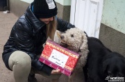 nmetekajndka131215_28.jpg