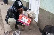 nmetekajndka131215_29.jpg