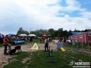 sam_5491011.jpg