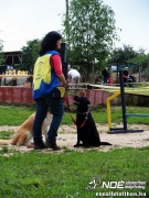 sam_5496016.jpg