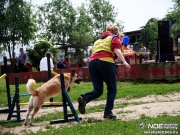 sam_5499019.jpg