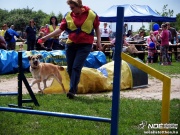 sam_5501021.jpg