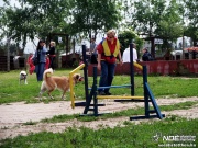 sam_5502022.jpg