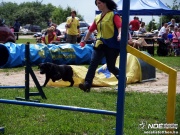 sam_5505024.jpg