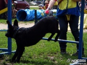 sam_5506025.jpg