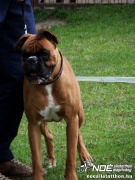 sam_5526041.jpg