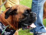 sam_5527042.jpg