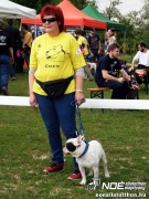 sam_5535050.jpg