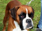 sam_5561073.jpg