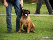 sam_5564075.jpg