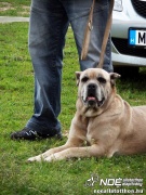 sam_5570080.jpg