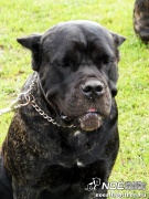 sam_5573083.jpg