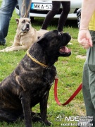 sam_5574084.jpg