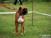 sam_5580090.jpg