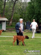 sam_5581091.jpg
