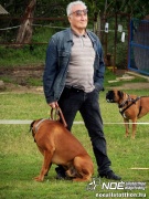 sam_5583093.jpg