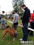 sam_5590100.jpg