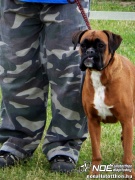 sam_5594104.jpg
