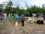 sam_5601110.jpg