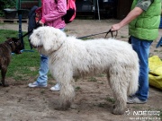 sam_5602111.jpg
