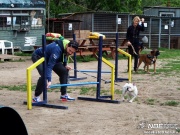 sam_5603112.jpg