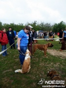 sam_5606115.jpg