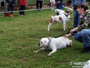 sam_5620128.jpg