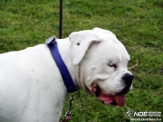 sam_5623131.jpg