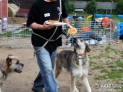 sam_5632140.jpg