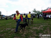 sam_5642150.jpg