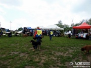 sam_5653160.jpg