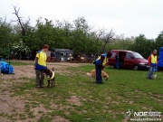 sam_5654161.jpg