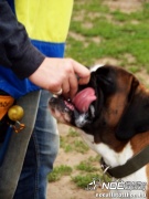sam_5690195.jpg