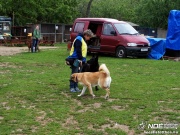sam_5695200.jpg