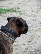sam_5700205.jpg