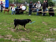 sam_5703208.jpg