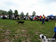 sam_5704209.jpg
