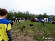 sam_5705210.jpg