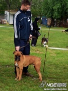 sam_5801303.jpg